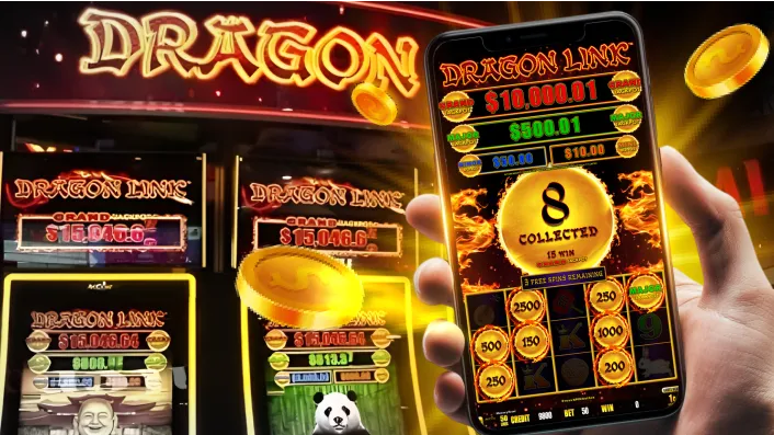 Bingo Plus Login